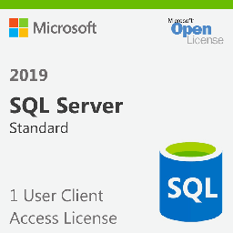 [359-06866-A] Microsoft SQL Server 2019 Standard - User CAL